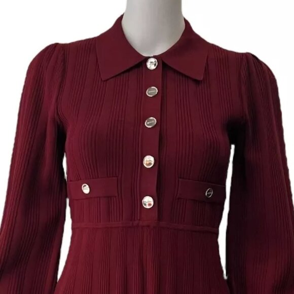 Sandro Burgundy Mini Dress - Picture 8 of 16